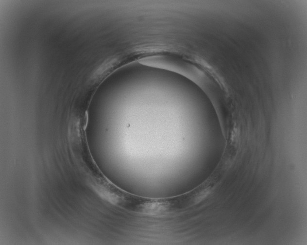 X0000081280117200701111342