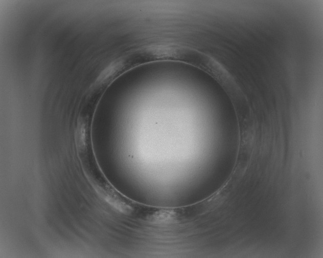 X0000081280124200701111342