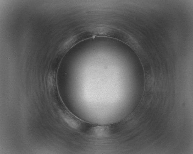 X0000081280126200701111342