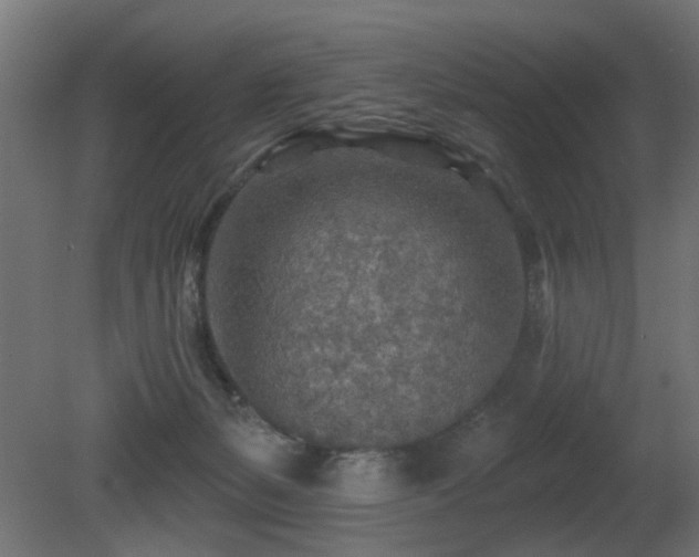 X0000081280127200701111342