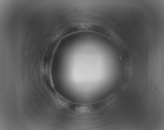 X0000081280129200701111342