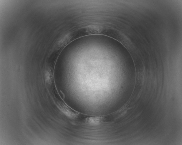 X0000081280134200701111342