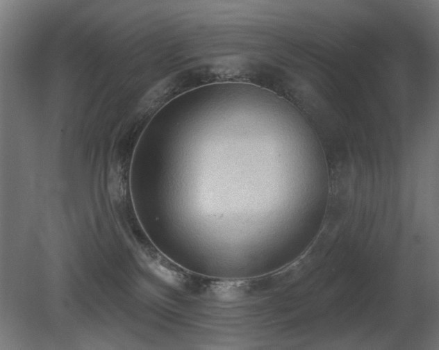 X0000081280136200701111342