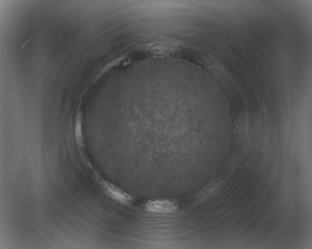 X0000081280137200701111342