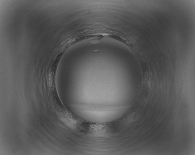 X0000081280139200701111342