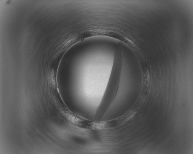 X0000081280143200701111342