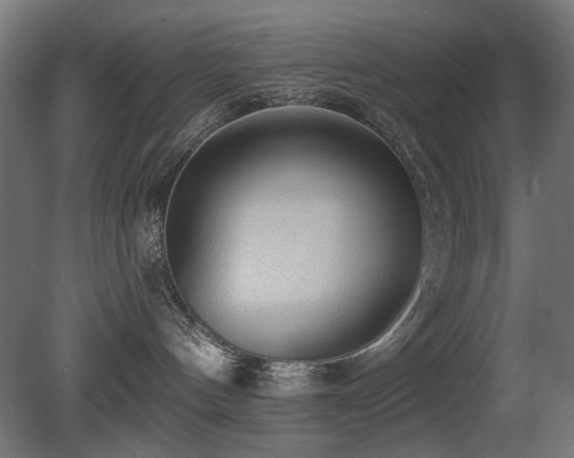 X0000081280144200701111342