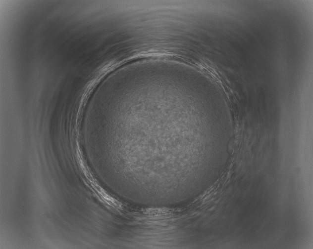 X0000081280145200701111341