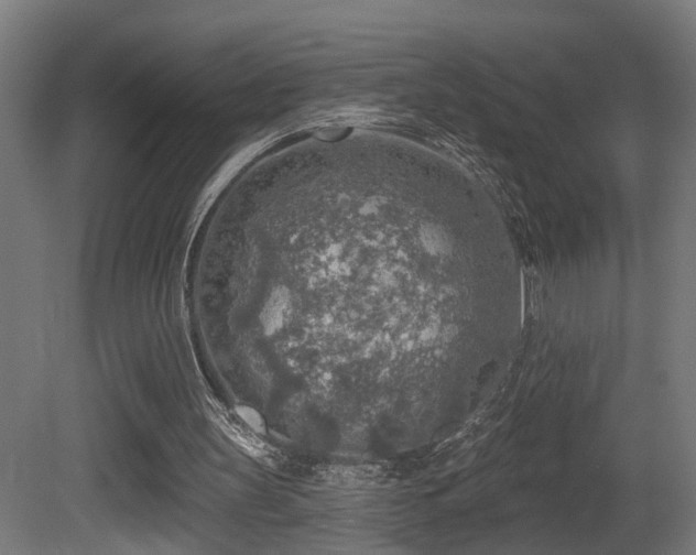 X0000081280147200701111341