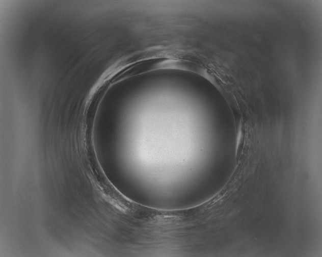 X0000081280150200701111341