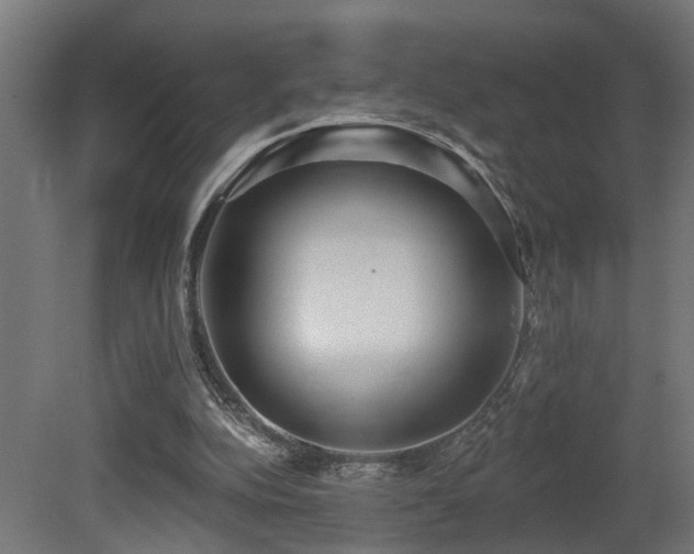 X0000081280152200701111341