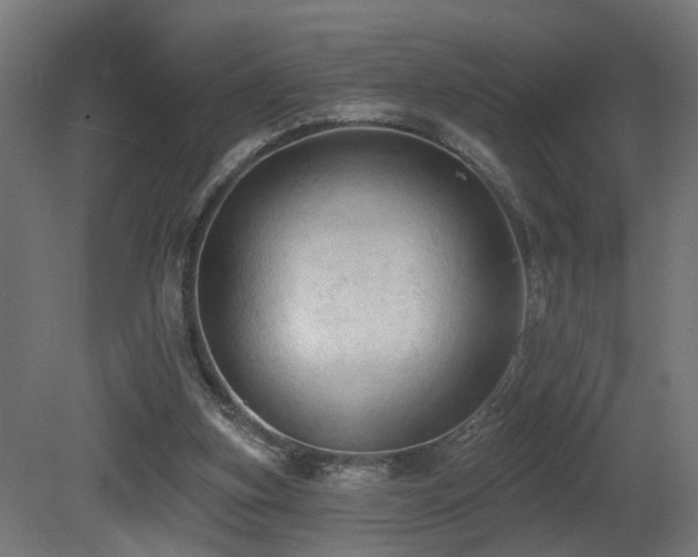 X0000081280155200701111341