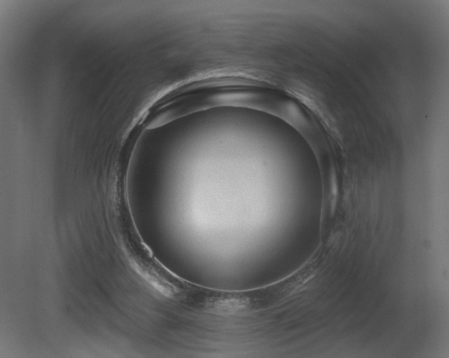 X0000081280156200701111341