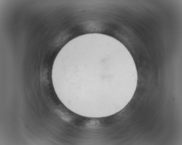 X0000081280162200701111341