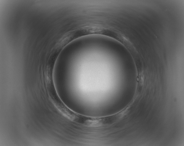 X0000081280170200701111342