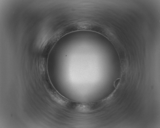 X0000081280174200701111342