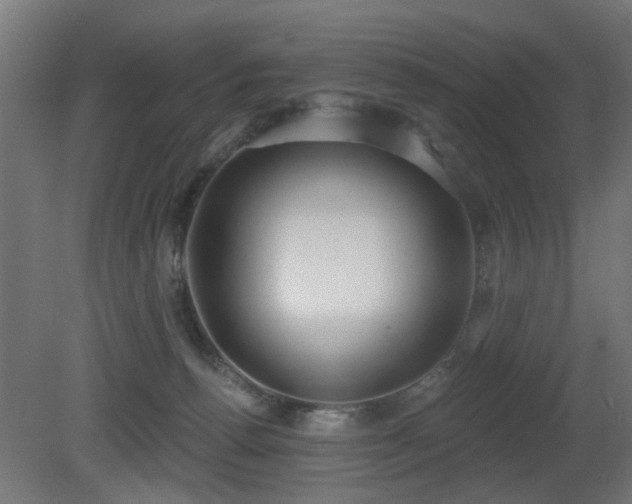 X0000081280176200701111342