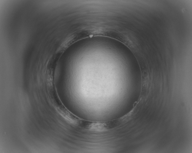 X0000081280179200701111342