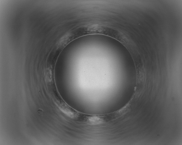 X0000081280183200701111342