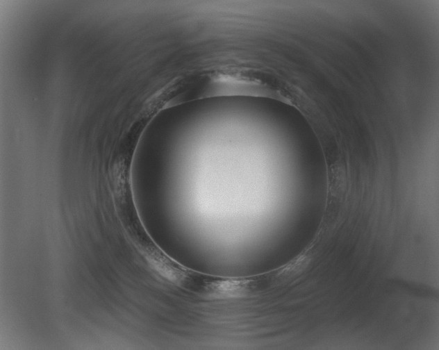 X0000081280184200701111342