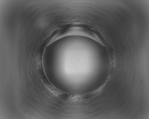 X0000081280186200701111342