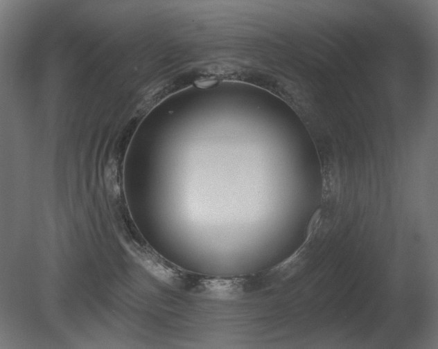 X0000081280187200701111342