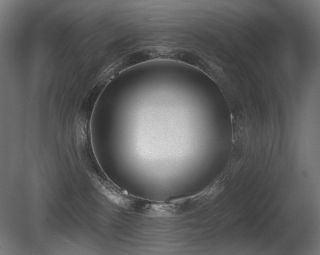 X0000081280188200701111342