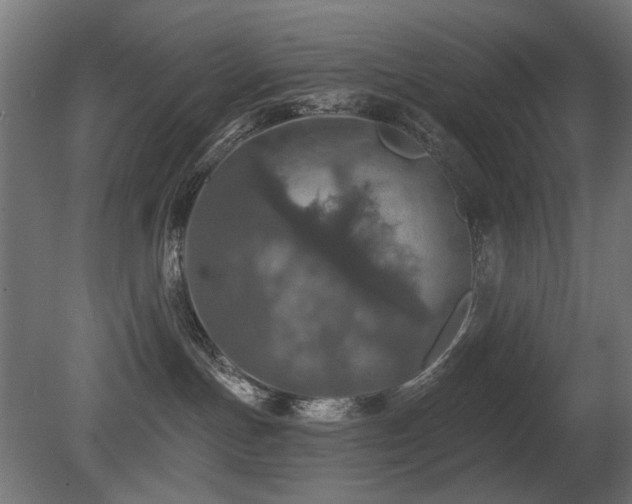 X0000081280191200701111342