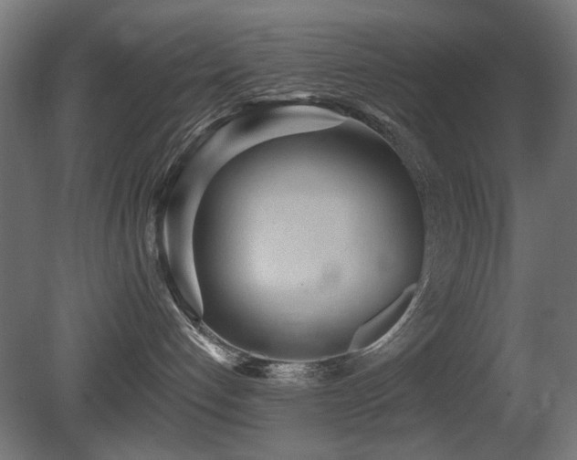 X0000081280192200701111342