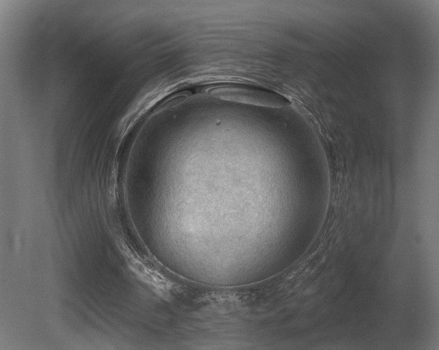 X0000081280194200701111341