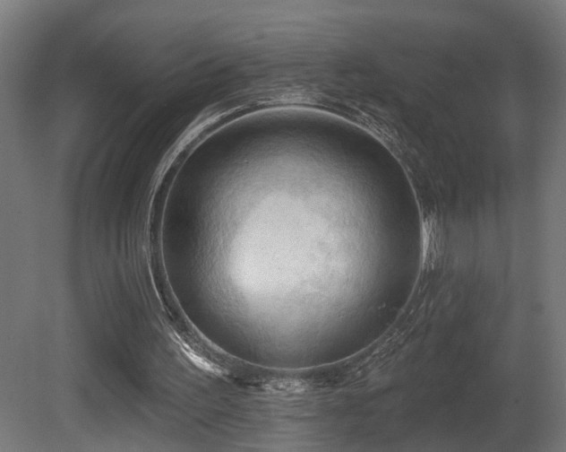 X0000081280195200701111341