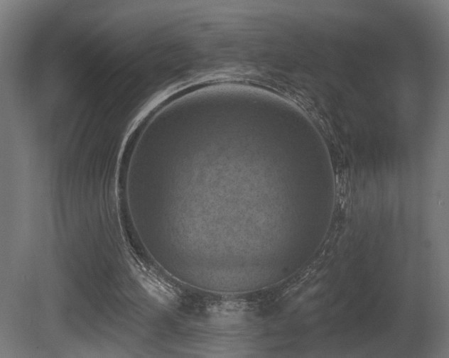 X0000081280196200701111341