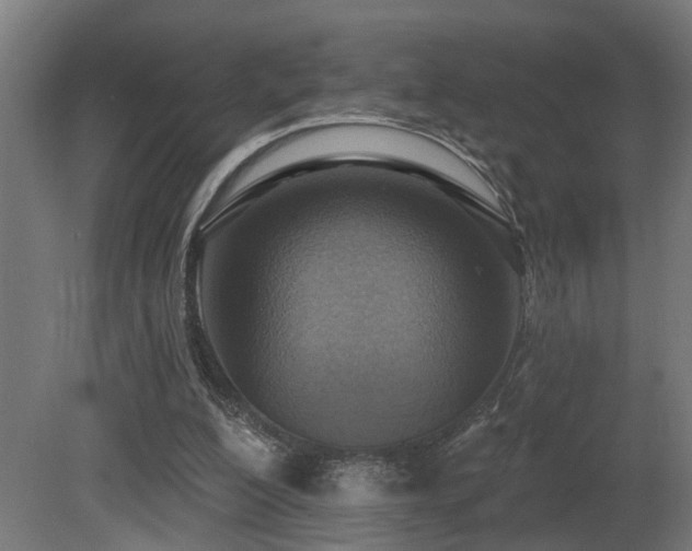 X0000081280200200701111341