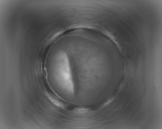 X0000081280205200701111341