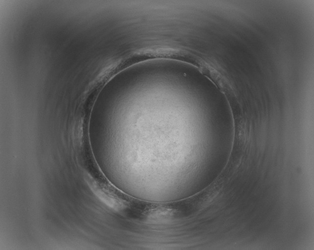 X0000081280206200701111341