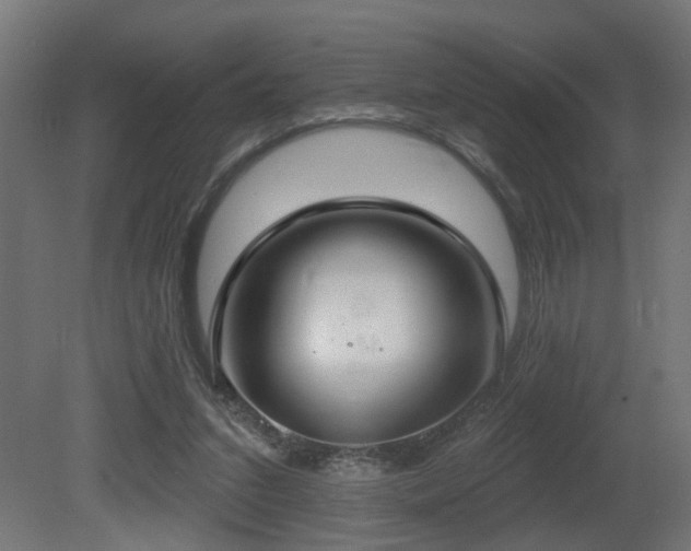 X0000081280207200701111341