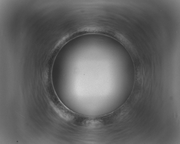 X0000081280208200701111341