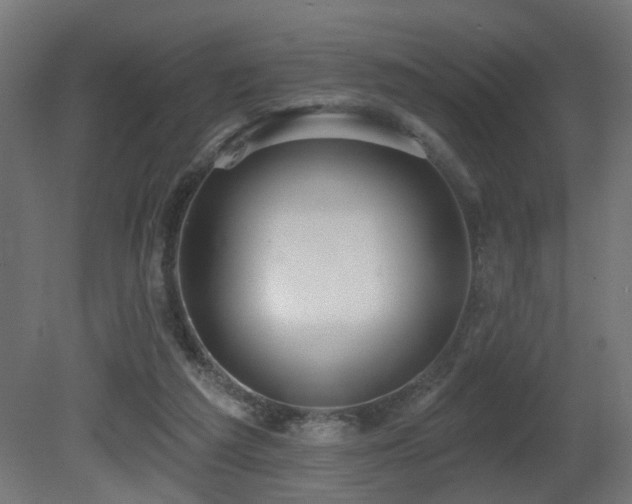 X0000081280209200701111341