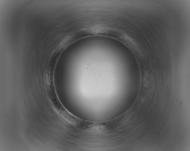 X0000081280210200701111341