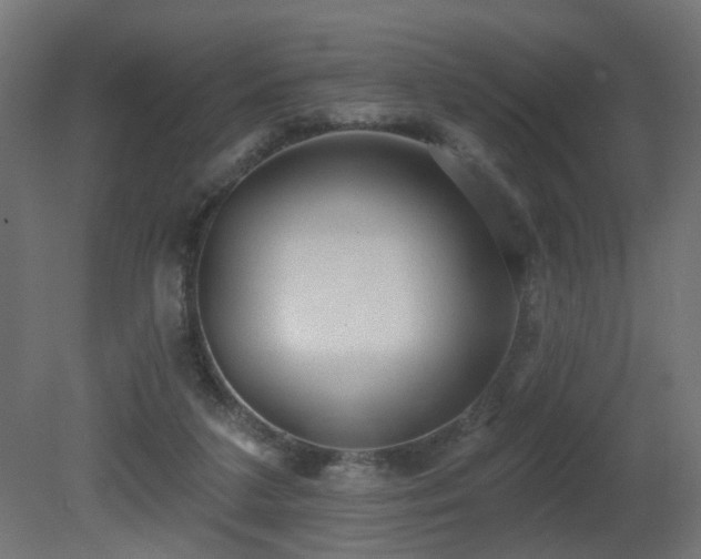 X0000081280211200701111341
