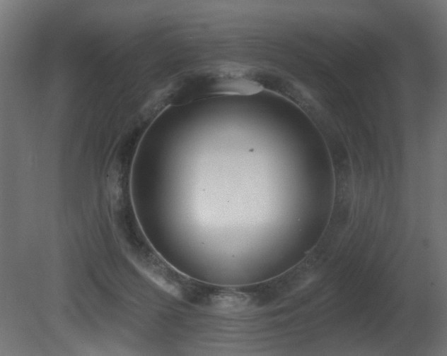 X0000081280215200701111341
