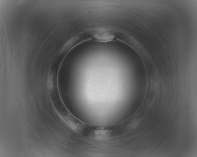 X0000081280216200701111341