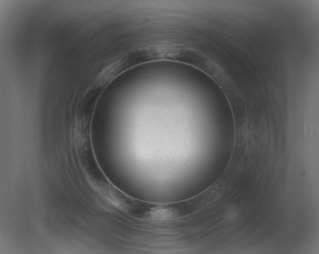 X0000081280218200701111341