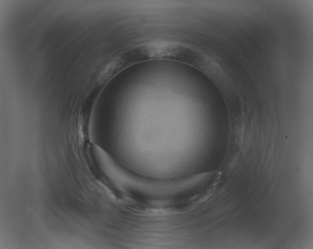 X0000081280219200701111341