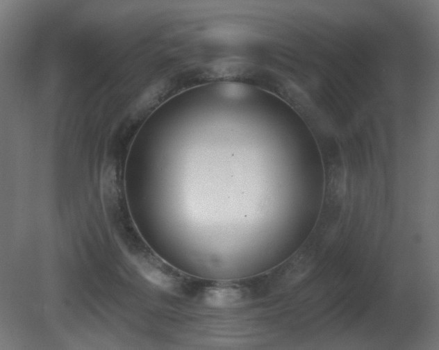 X0000081280220200701111341