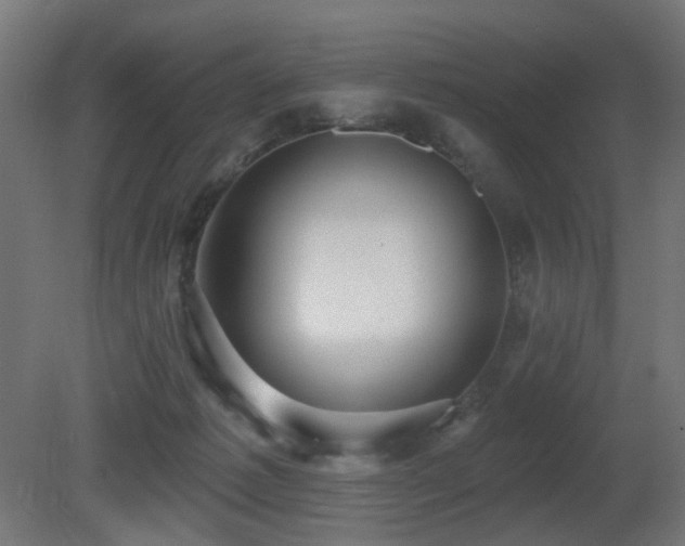 X0000081280221200701111341