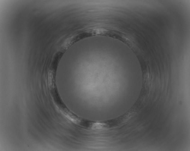 X0000081280222200701111341