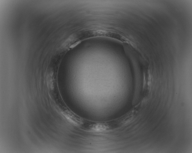 X0000081280223200701111341