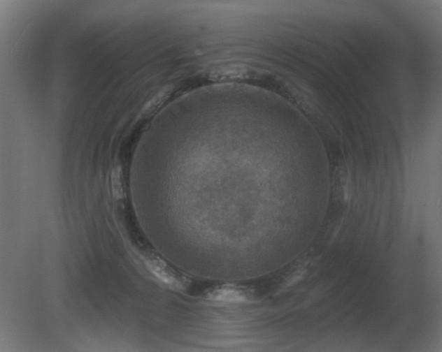 X0000081280224200701111341