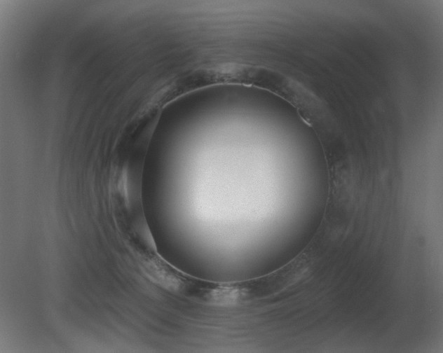 X0000081280225200701111341